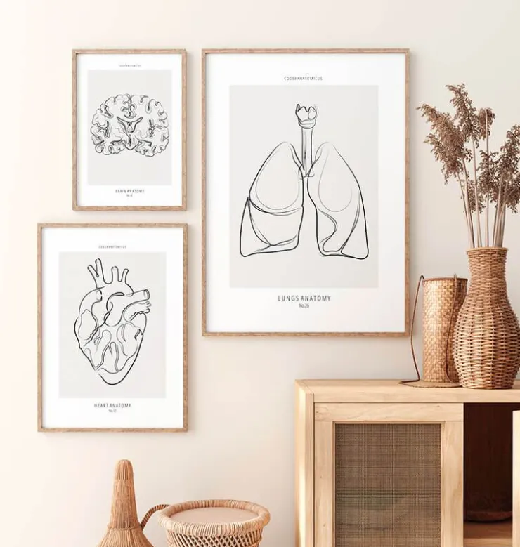 Anatomie des poumons - Line Art-Codex Anatomicus Hot