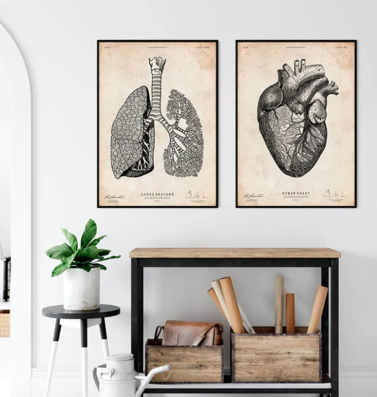 Anatomie des poumons - Vintage-Codex Anatomicus Hot