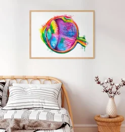 Anatomie des yeux - Aquarelle-Codex Anatomicus Sale