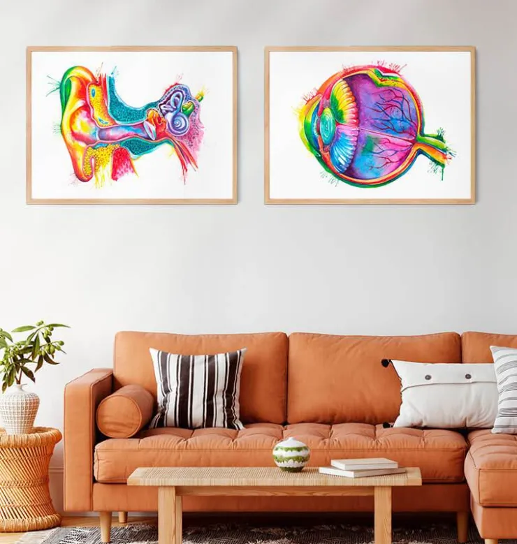 Anatomie des yeux - Aquarelle-Codex Anatomicus Sale