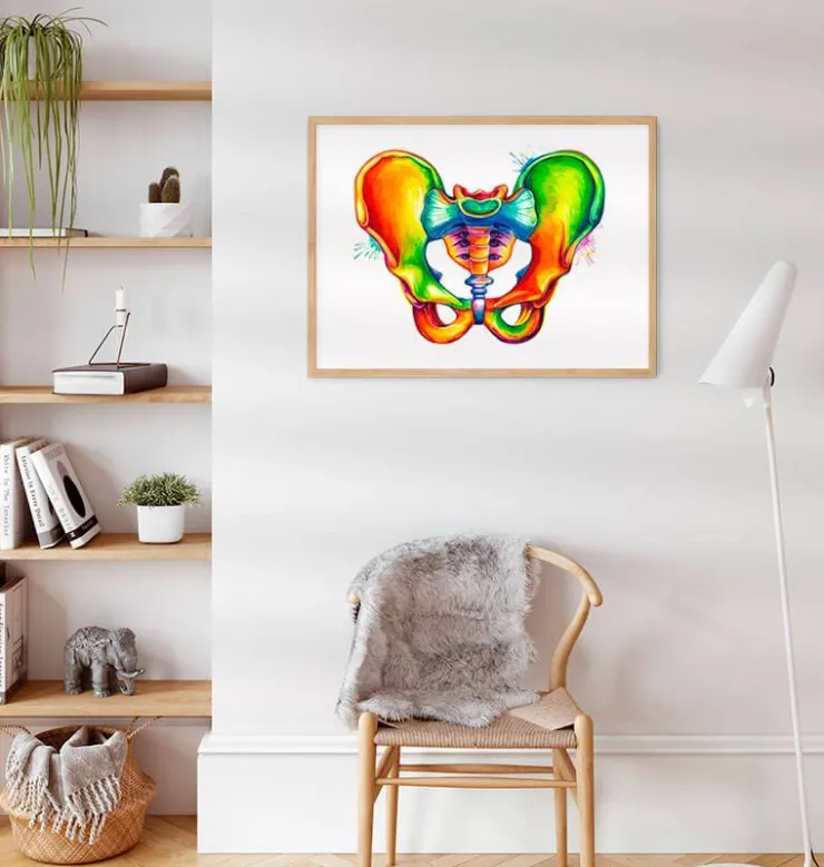 Anatomie du bassin - Aquarelle-Codex Anatomicus Outlet