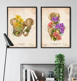 Anatomie du bassin - Floral - Vintage-Codex Anatomicus Outlet