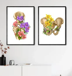 Anatomie du bassin - Floral - Blanc-Codex Anatomicus