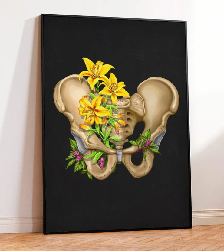 Anatomie du bassin - Floral - Noir-Codex Anatomicus Sale