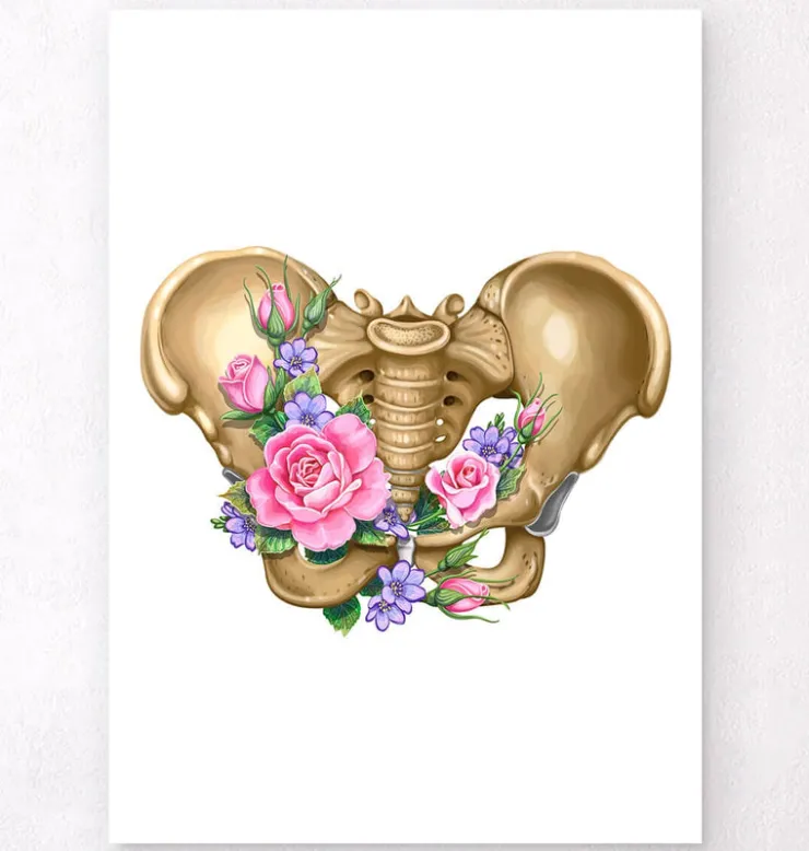 Anatomie du bassin féminin - Floral - Blanc-Codex Anatomicus Hot