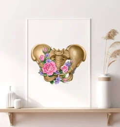 Anatomie du bassin féminin - Floral - Blanc-Codex Anatomicus Hot