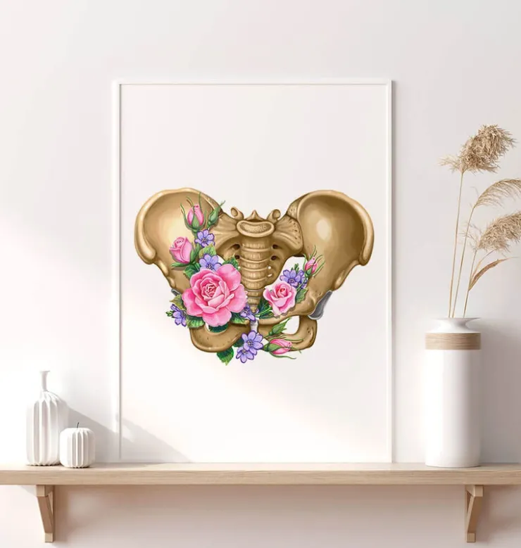 Anatomie du bassin féminin - Floral - Blanc-Codex Anatomicus Hot