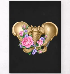 Anatomie du bassin féminin - Floral - Noir-Codex Anatomicus Online