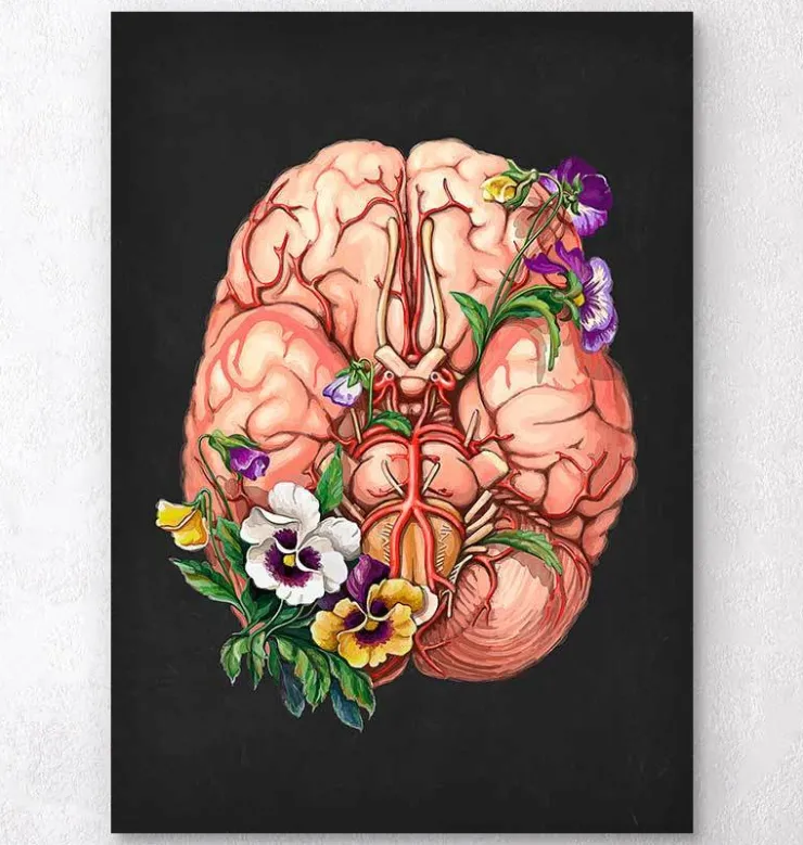 Anatomie du cerveau - Floral - Noir-Codex Anatomicus Sale