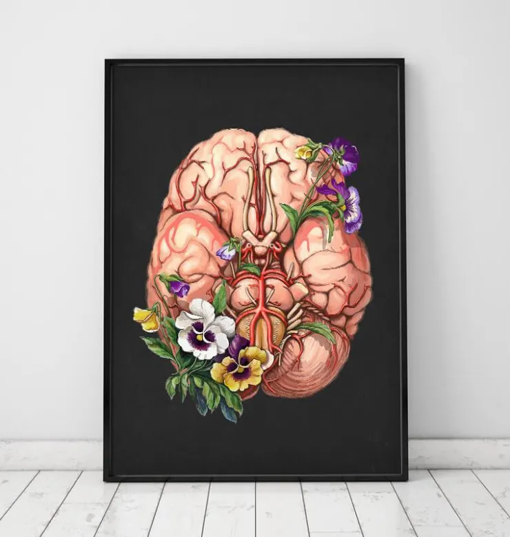 Anatomie du cerveau - Floral - Noir-Codex Anatomicus Sale