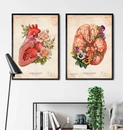 Anatomie du cerveau - Floral - Vieux papier-Codex Anatomicus Hot