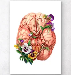 Anatomie du cerveau - Floral-Codex Anatomicus Clearance
