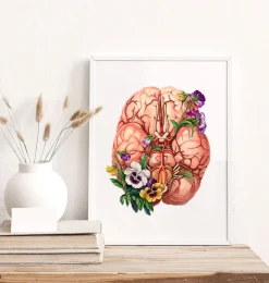 Anatomie du cerveau - Floral-Codex Anatomicus Clearance