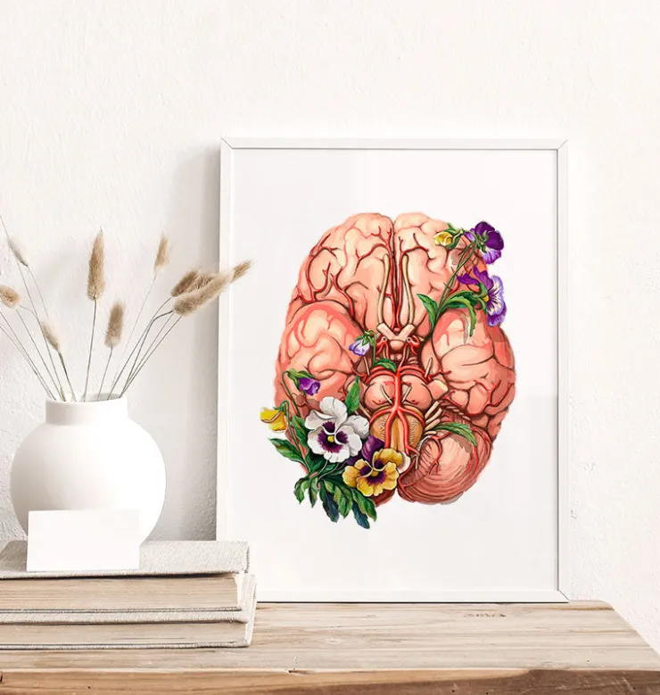 Anatomie du cerveau - Floral-Codex Anatomicus Clearance