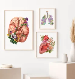 Anatomie du cerveau - Floral-Codex Anatomicus Clearance