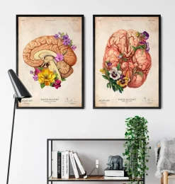 Anatomie du cerveau II - Floral - Vieux papier-Codex Anatomicus Clearance