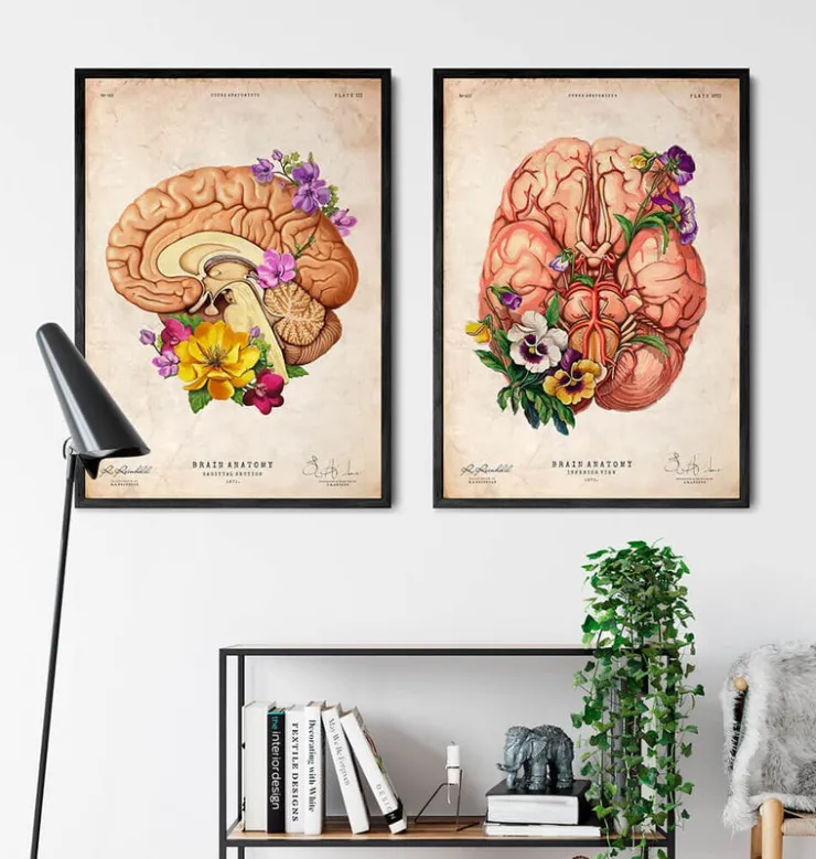 Anatomie du cerveau II - Floral - Vieux papier-Codex Anatomicus Clearance