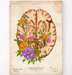 Anatomie du cerveau III - Floral - Vintage-Codex Anatomicus Clearance