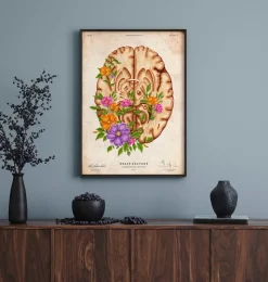 Anatomie du cerveau III - Floral - Vintage-Codex Anatomicus Clearance