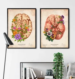 Anatomie du cerveau III - Floral - Vintage-Codex Anatomicus Clearance