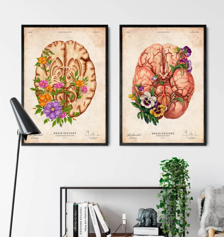 Anatomie du cerveau III - Floral - Vintage-Codex Anatomicus Clearance