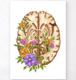 Anatomie du cerveau III - Floral - Blanc-Codex Anatomicus Discount