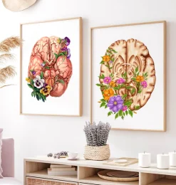 Anatomie du cerveau III - Floral - Blanc-Codex Anatomicus Discount