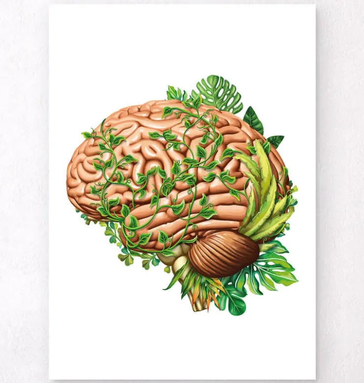 Anatomie du cerveau IV - Floral - Vintage-Codex Anatomicus New