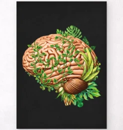 Anatomie du cerveau IV - Floral - Vintage-Codex Anatomicus Sale