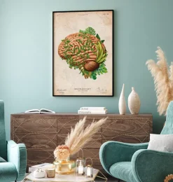 Anatomie du cerveau IV - Floral - Vintage-Codex Anatomicus
