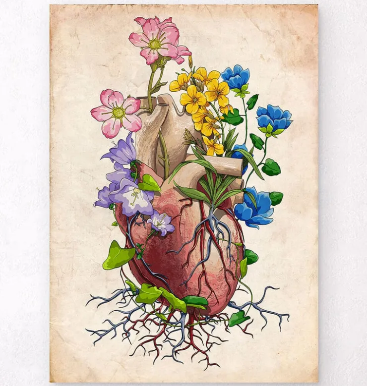 Anatomie du coeur floral I - Vieux papiers-Codex Anatomicus Outlet