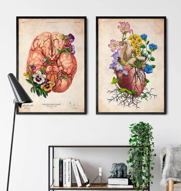 Anatomie du coeur floral I - Vieux papiers-Codex Anatomicus Outlet
