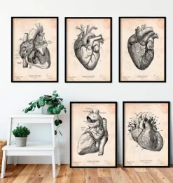 Anatomie du coeur vintage - Lot de 5-Codex Anatomicus Hot