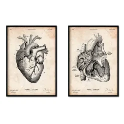 Anatomie du coeur vintage - Lot de 5-Codex Anatomicus Hot