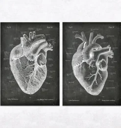 Anatomie du Coeur Vintage & Chalkboard - Lot de 5-Codex Anatomicus Outlet