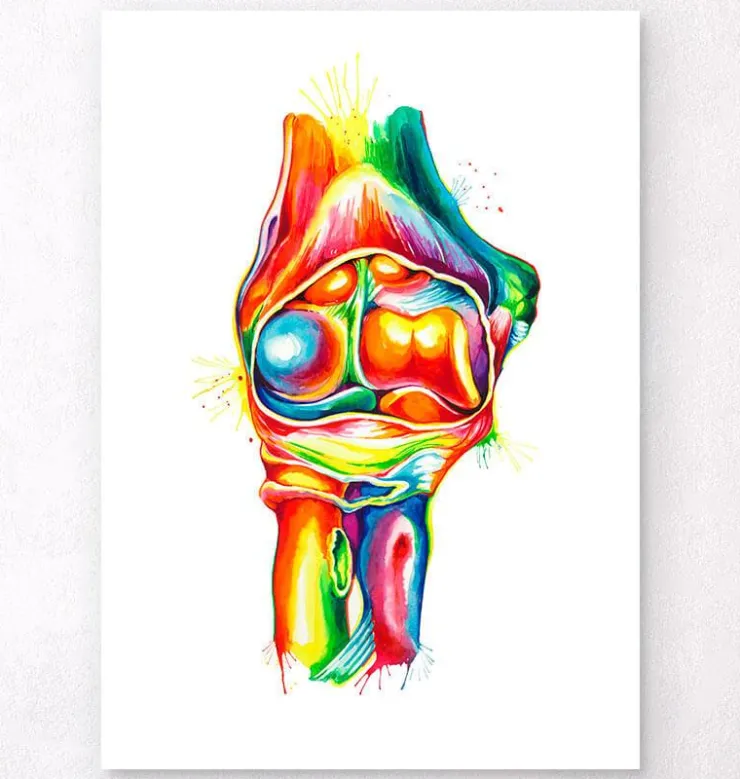 Anatomie du coude - Aquarelle-Codex Anatomicus Hot