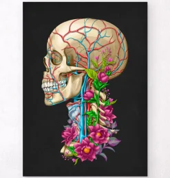 Anatomie du crâne II - Floral - Noir-Codex Anatomicus Discount