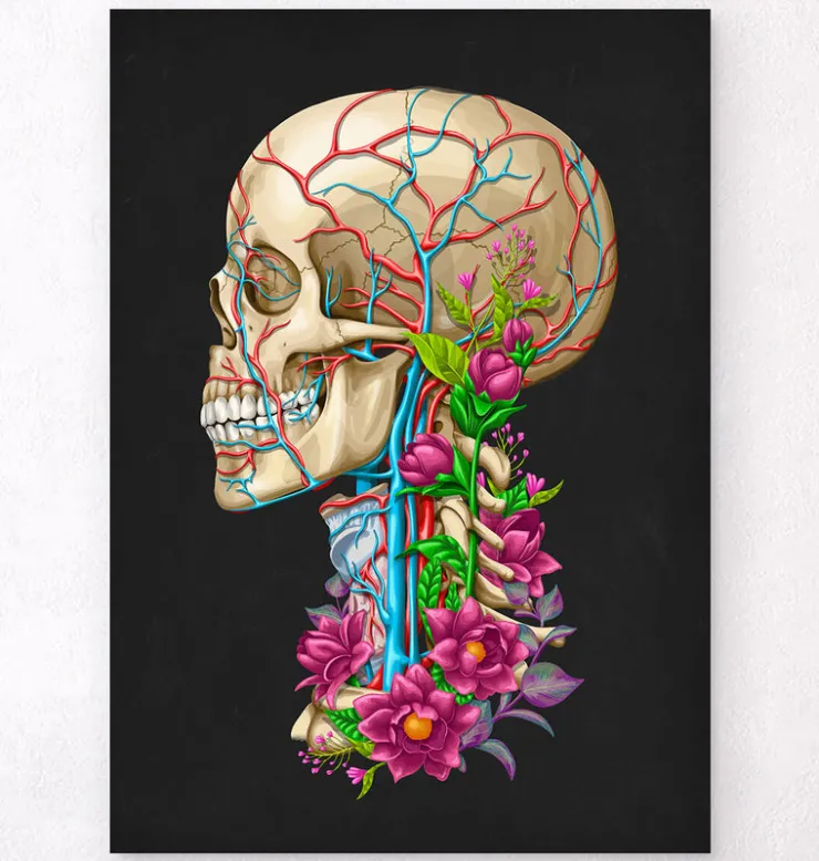 Anatomie du crâne II - Floral - Noir-Codex Anatomicus Discount