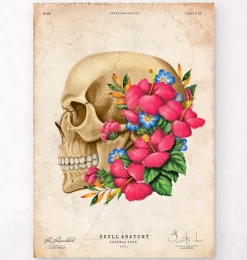 Anatomie du crâne III - Floral - Vintage-Codex Anatomicus