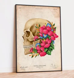Anatomie du crâne III - Floral - Vintage-Codex Anatomicus