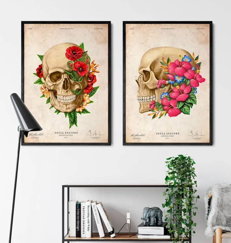 Anatomie du crâne III - Floral - Vintage-Codex Anatomicus