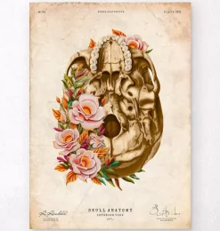 Anatomie du crâne V - Floral - Vintage-Codex Anatomicus Sale
