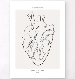 Anatomie du cœur - Line Art-Codex Anatomicus Clearance
