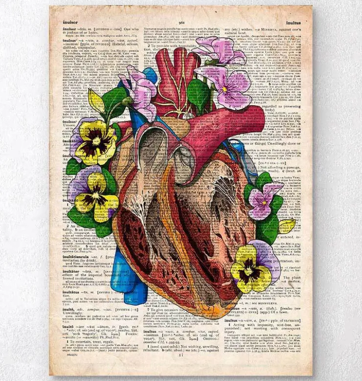 Anatomie du cœur floral II - Dictionnaire-Codex Anatomicus Best