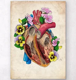 Anatomie du cœur floral II - Vieux papiers-Codex Anatomicus Clearance
