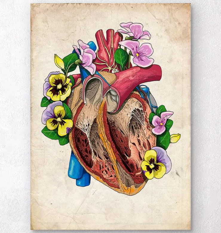Anatomie du cœur floral II - Vieux papiers-Codex Anatomicus Clearance