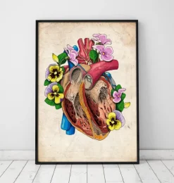 Anatomie du cœur floral II - Vieux papiers-Codex Anatomicus Clearance