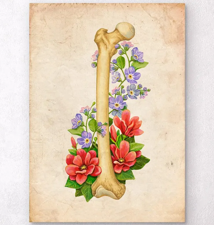 Anatomie du fémur - Floral - Vintage-Codex Anatomicus Best