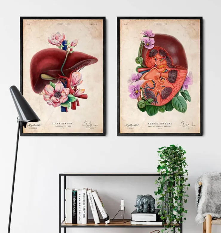 Anatomie du foie - Floral - Vieux papiers-Codex Anatomicus Outlet