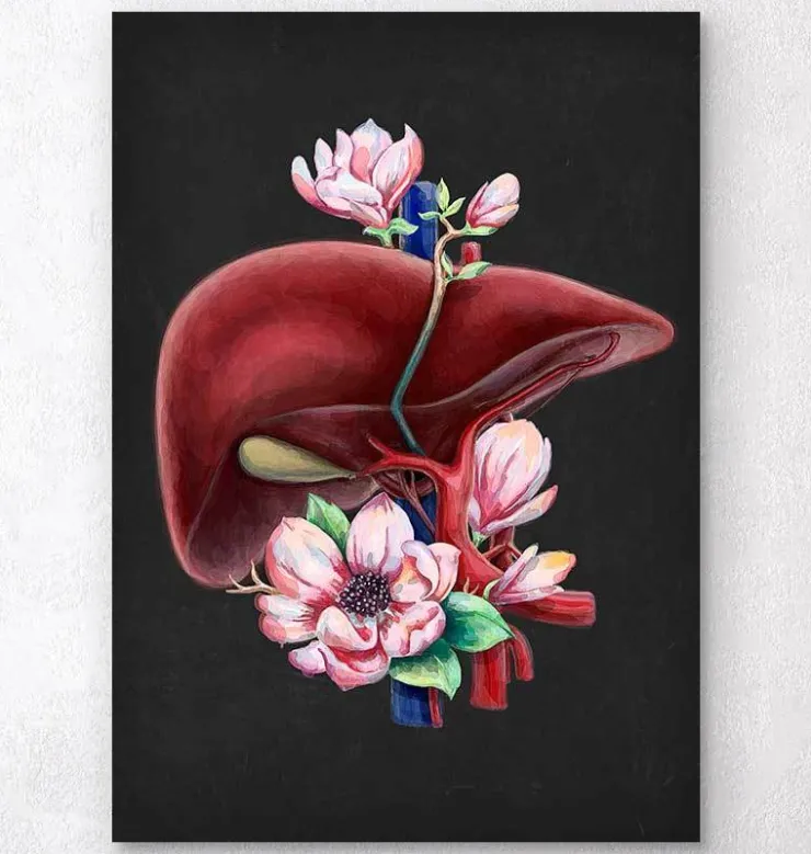 Anatomie du foie - Floral - Noir-Codex Anatomicus Discount